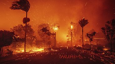 Inmitten starker Winde wird ein Stadtteil von Pacific Palisades in Los Angeles, USA, am 07.01.2025 ein Raub der Flammen.