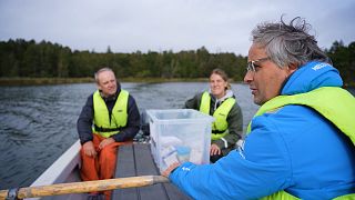 Das Methan-Rätsel: Warum steigen die Werte dieses Gases?