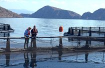 Wechselnde Standorte und Netze: Wie sich Fischzüchter im Mittelmeer an den Klimawandel anpassen