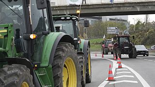 Französische Landwirte haben in der Nähe von Paris gegen das Mercosur-Handelsabkommen protestiert. 