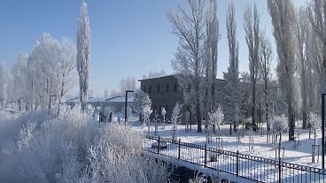 Natur unter Raureif in Ardahan in der Osttürkei, 07.01.2025