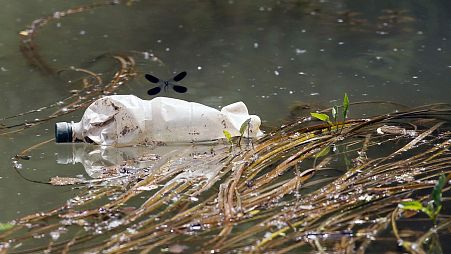  A dragonfly flies over a plastic bottle near the bank of Sava River in Obrenovac, some 25 kilometers (15 miles) west of the Serbian capital Belgrade.