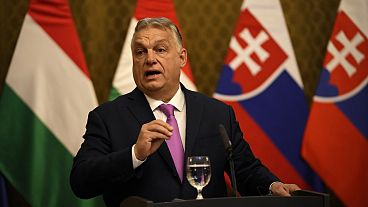 Ministerpräsident Viktor Orban hat eine "Änderung" der EU-Sanktionen gegen Russland gefordert.