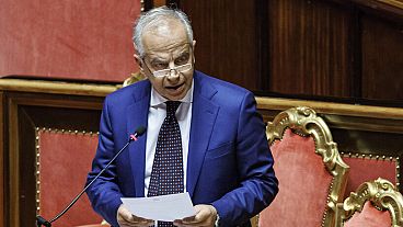 İtalya İçişleri Bakanı Matteo Piantedosi 23 Ocak 2025 Perşembe günü Roma'da Senato'ya hitap ediyor