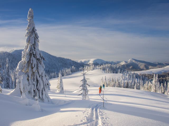 <p>Accessible off-piste skiing at Jasná, Slovakia</p>