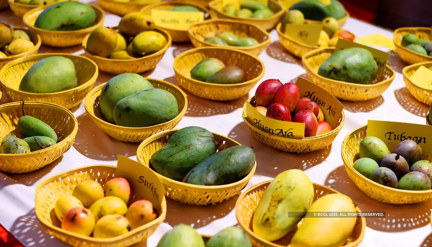 Mango Festival 2023: Aam mania hits the capital