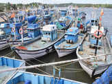 ​Goa's annual fishing ban begins for 60 days