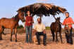 ​Meet Gazi and Electra, the equine residents of Candolim