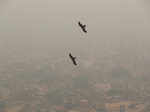 Air pollution: Delhi turns into 'gas chamber'