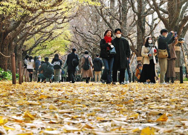 落ち葉を踏みしめ、神宮外苑のイチョウ並木を歩く人たち（2022年12月3日撮影）