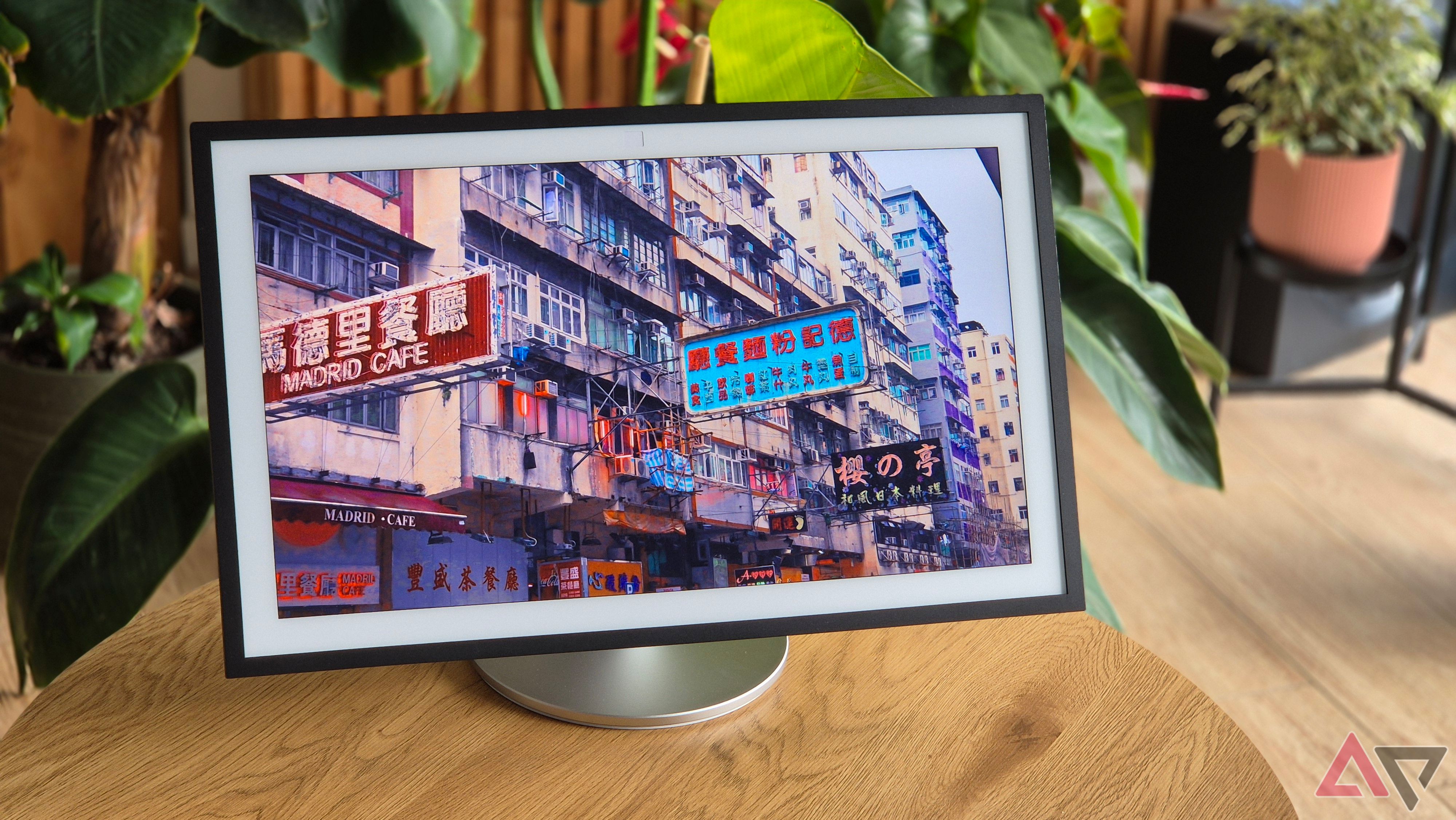 Amazon Echo Show 21 on a table with plants in the background