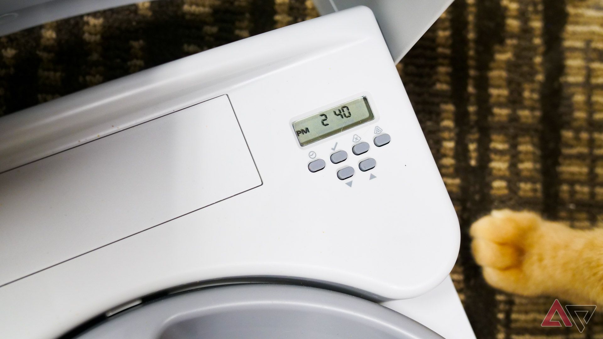 A close up on a cat feeder timer, with the cat's paw in the background.