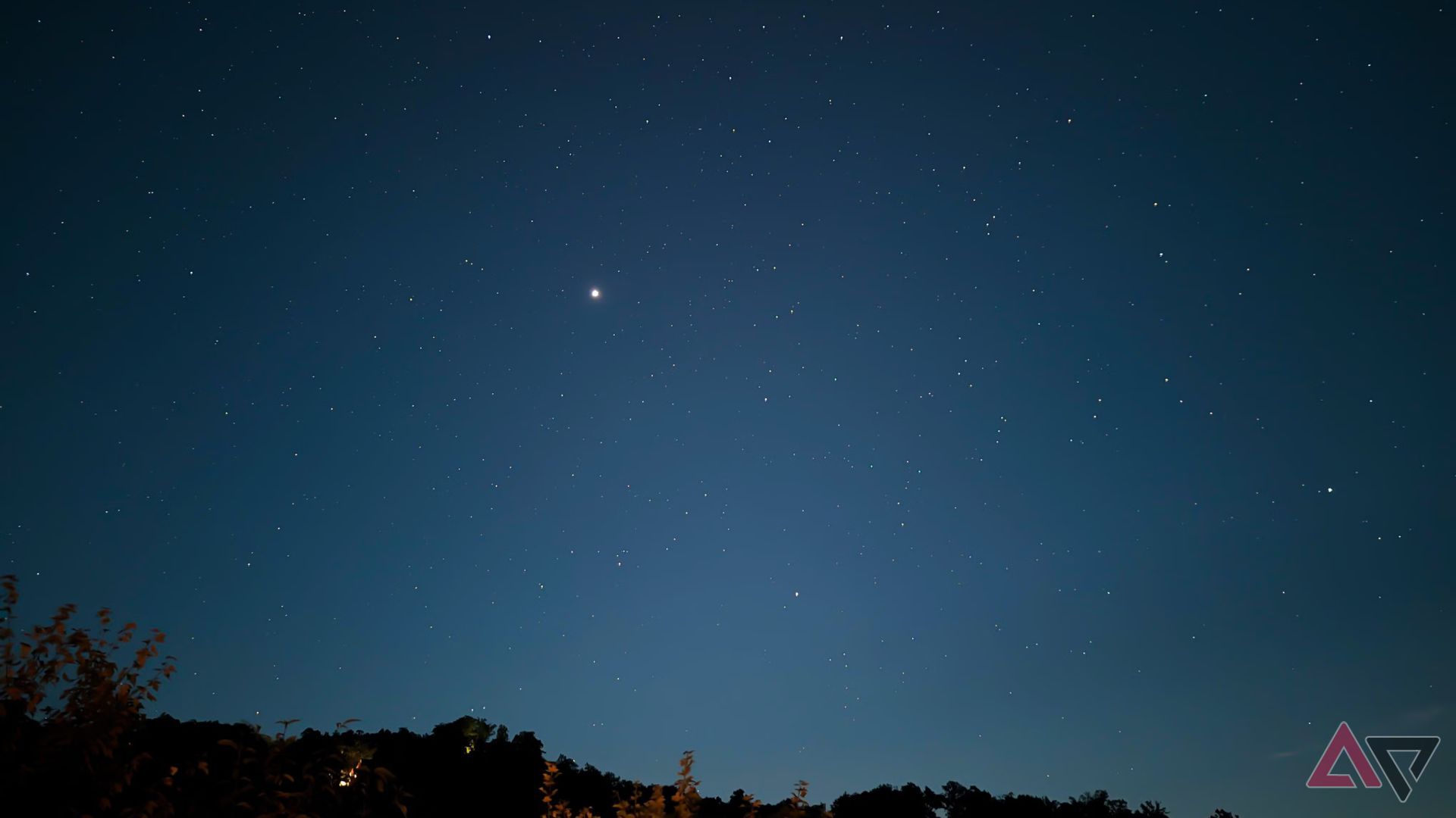 night sky with tree line at bottom