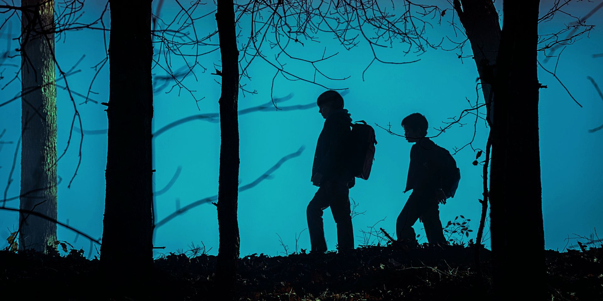 Two boys framed in silhouette walking through the woods in Salem's Lot 2024