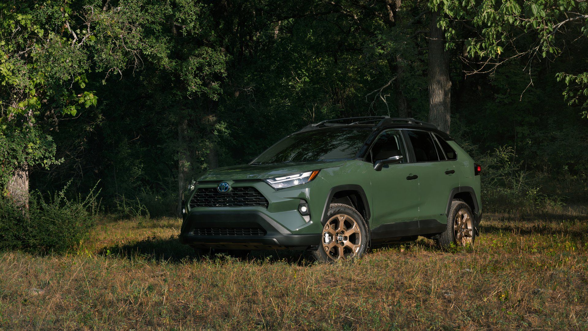 2024 Toyota RAV4 Woodland front static