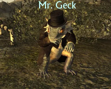 Mr Geck