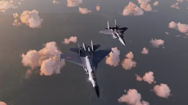 Circle Of Trust SU27 And F15