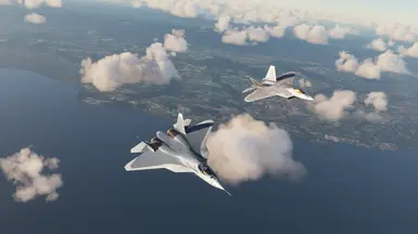 Brothers From Different Mothers F-22 and T-50