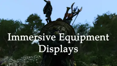 Immersive Equipment Displays