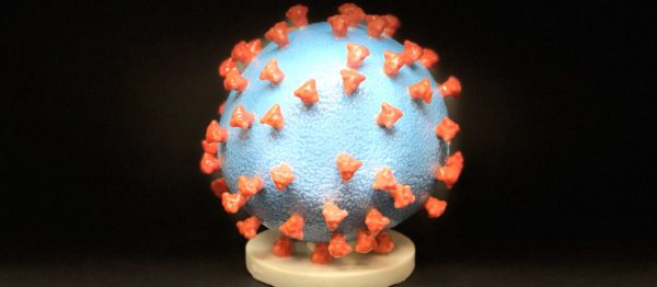 A 3D print of a SARS-CoV-2 virus particle, which causes COVID-19. NIH/NIAID