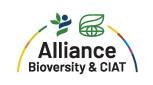 Alliance Bioversity CIAT logo