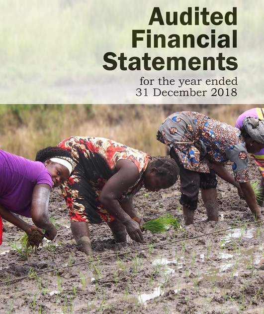 AfricaRice Audited Financial Statements 2018