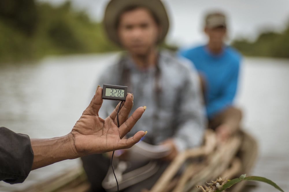 Harnessing the power of data to transform food systems