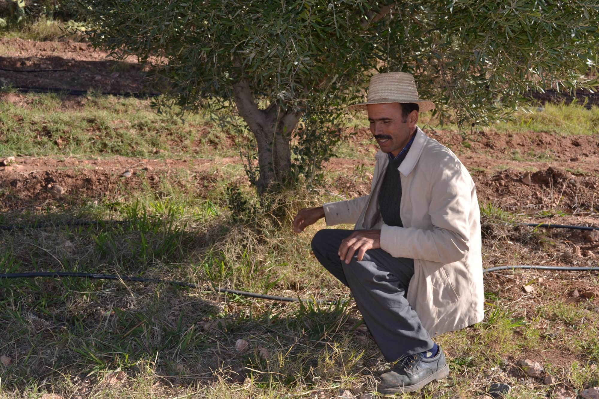 Irrigation for smallholder farmers