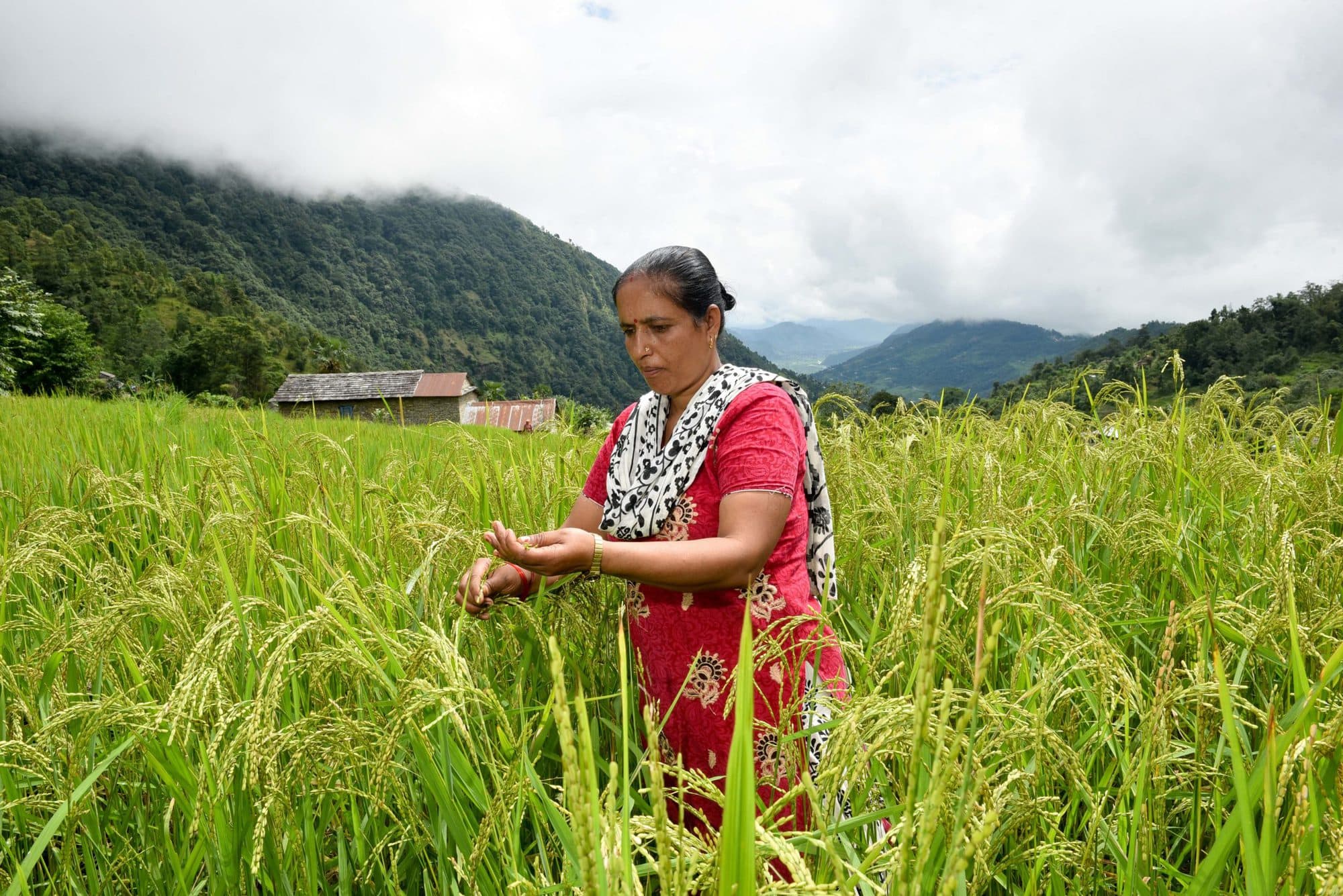 Climate-Smart Villages and Valleys