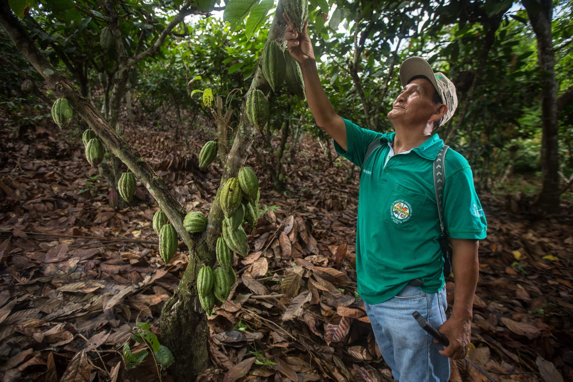 Agroforestry and Payment for Ecosystem Services