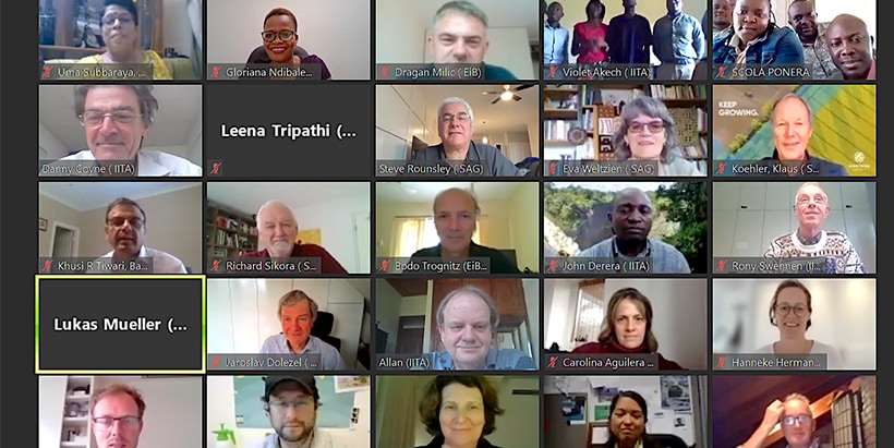 A group photo of the virtual annual meeting of the ABBB project.