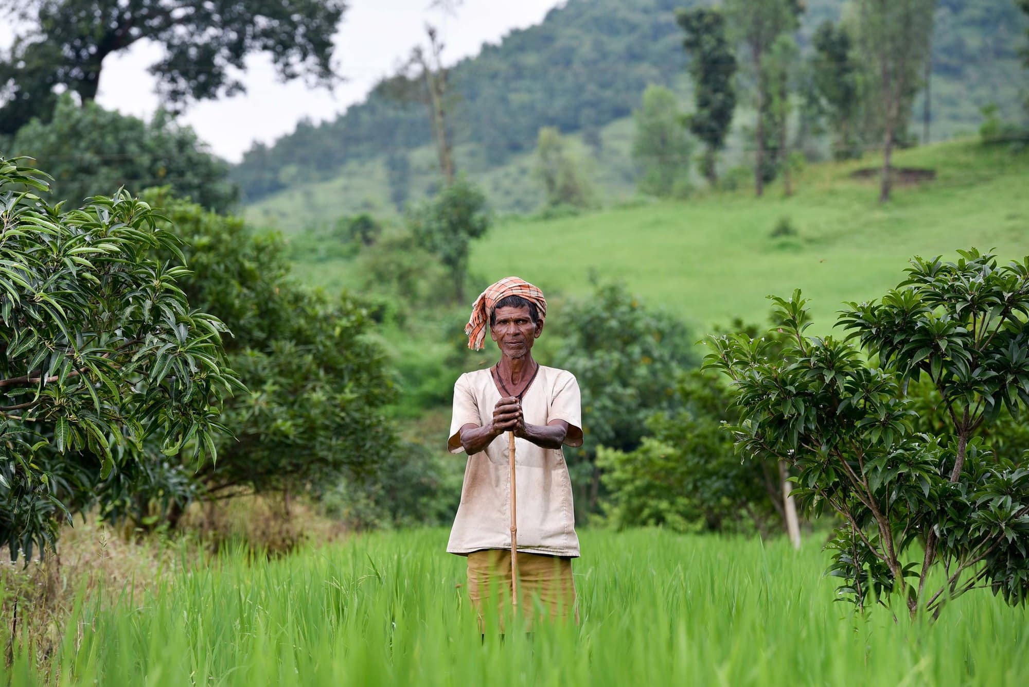 Climate Resilience