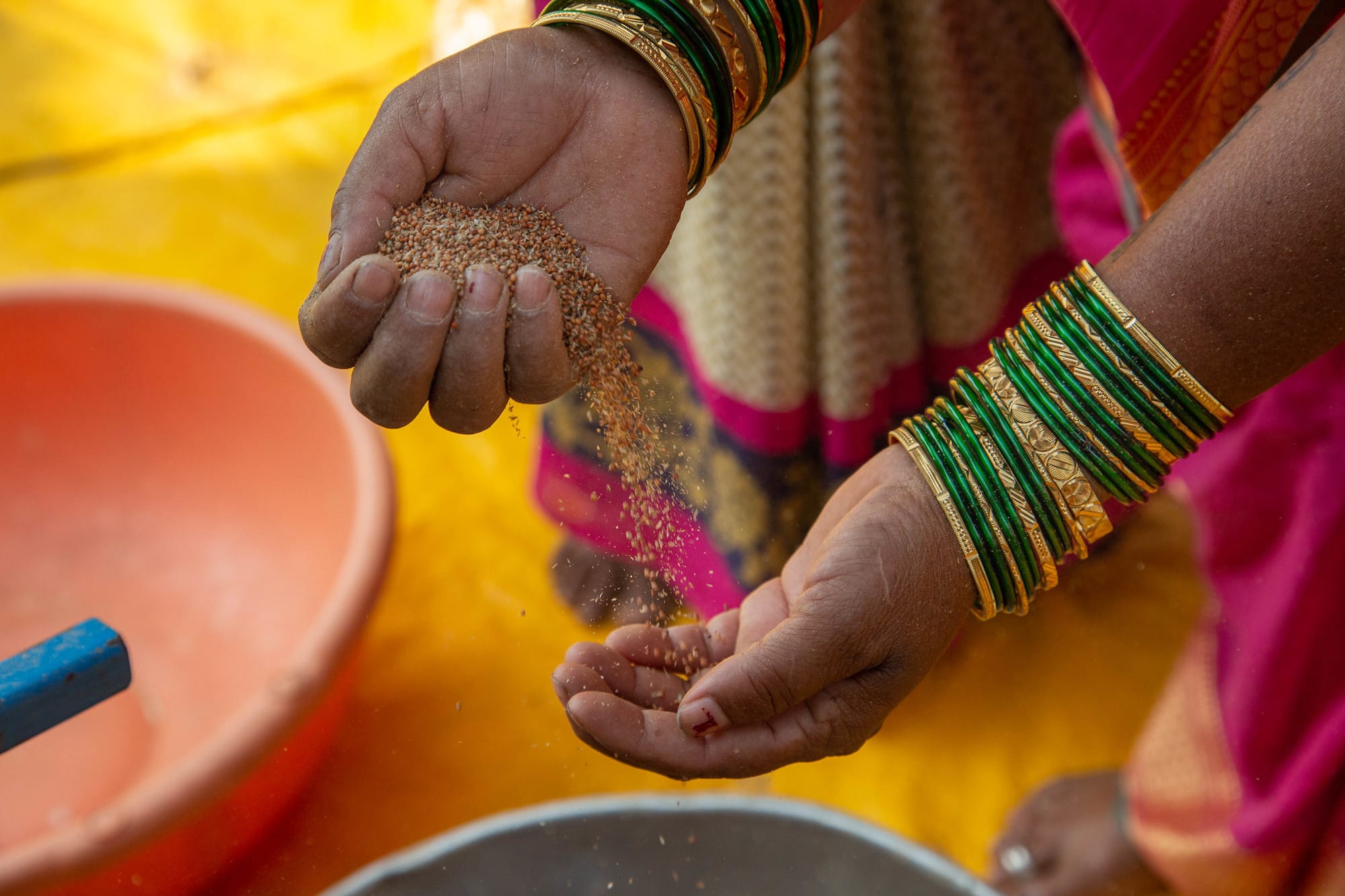 Transforming Agrifood Systems in South Asia