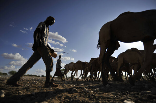 Country focus - Kenya