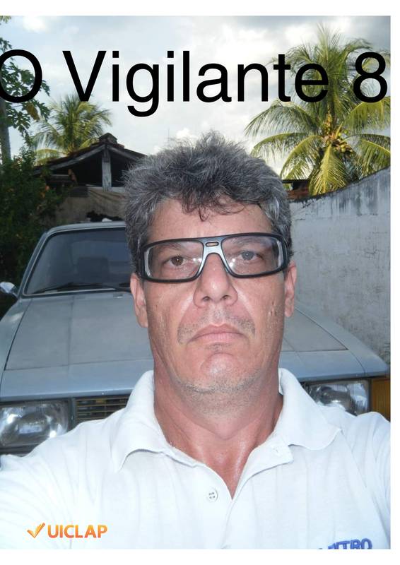 O Vigilante 8