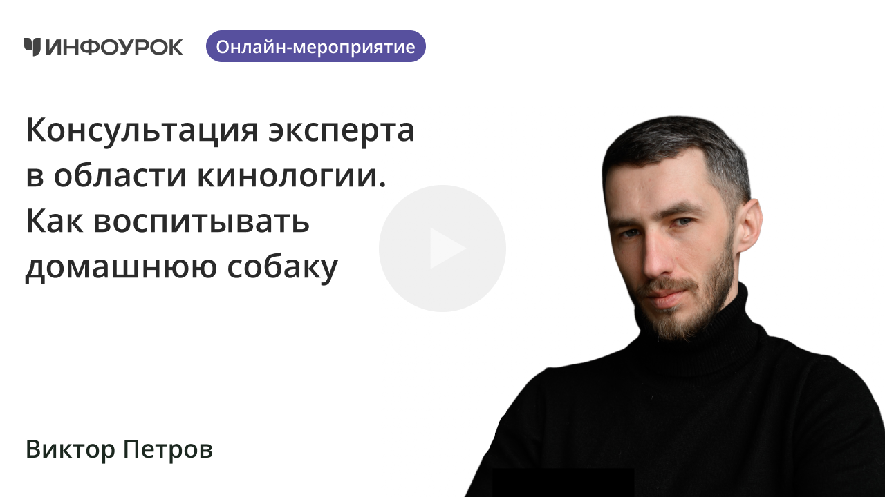 Консультация эксперта в области кинологии. Как воспитывать домашнюю собаку