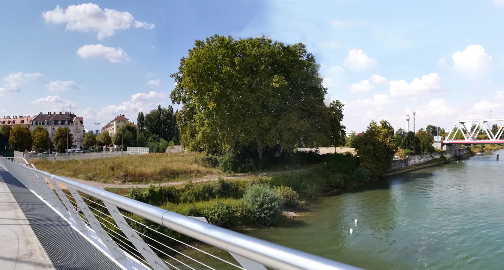 Vue depuis le Pont Beatus Rhenanus sur les Rives du Rhin, aujourd'hui. Crédits photo SPL Deux-Rives