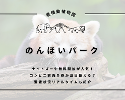 豊橋|のんほいパークの入場料は前売り券や無料開放がお得！ナイトズー夜の遊園地2023も大人気