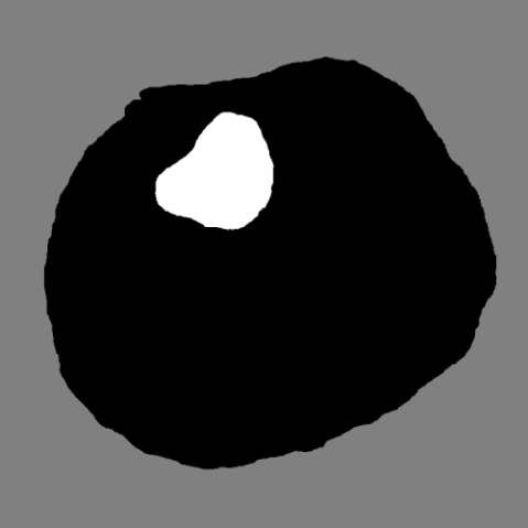 Fig. 4. Spring-onion California roll depicted in figure 2, with solid material drawn in black and pneumatic space in white.