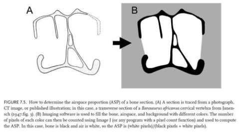 fig. 7.5)