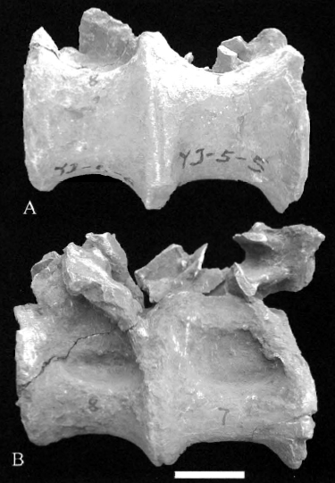 eomamenchisaurus_lu_et_al_2008