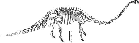 fig. 11) -- Yuanmosaurus reconstruction