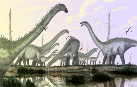 Diplodocus herd -- mostly with necks in habitual raised posture, with one individual drinking.  By Mark Witton.