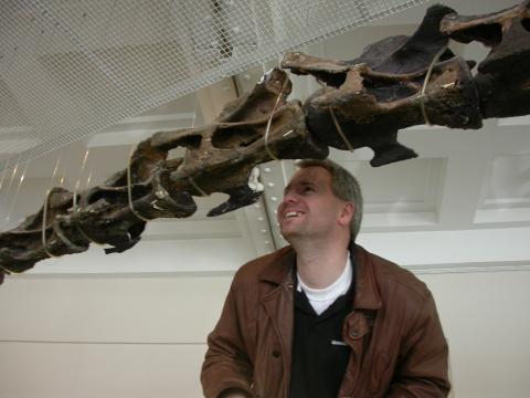 Median part of the subhorizontally mounted neck of the Rutland Cetiosaurus skeleton at the Leicester City Museum, left lateral view.  Mike Taylor for scale.