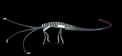 Diplodocus carnegii, DinoMorph computer model , showing neutral neck posture, and limits of flexibility.  From Stevens (2002:fig. 6a).  [Note that Stevens's more recent models show a slightly higher neck due to its leaving the torso at a less steep angle.]