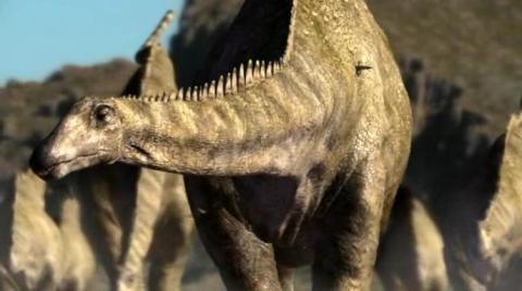 A still from the BBC Walking With Dinosaurs, episode 2, Time of the Titans, showing Diplodocus in a DinoMorph-compliant posture with a low, horizontal neck.  Image copyright the BBC.