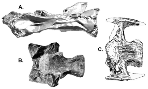 Lovelace et al fig 4 480