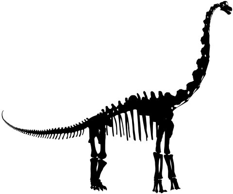 FMNH Brachiosaurus mount lateral - silhouette