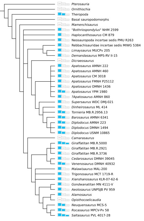 Wedel and Taylor (2013b: Figure 2).