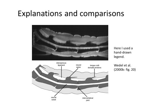 Illustration talk slide 47